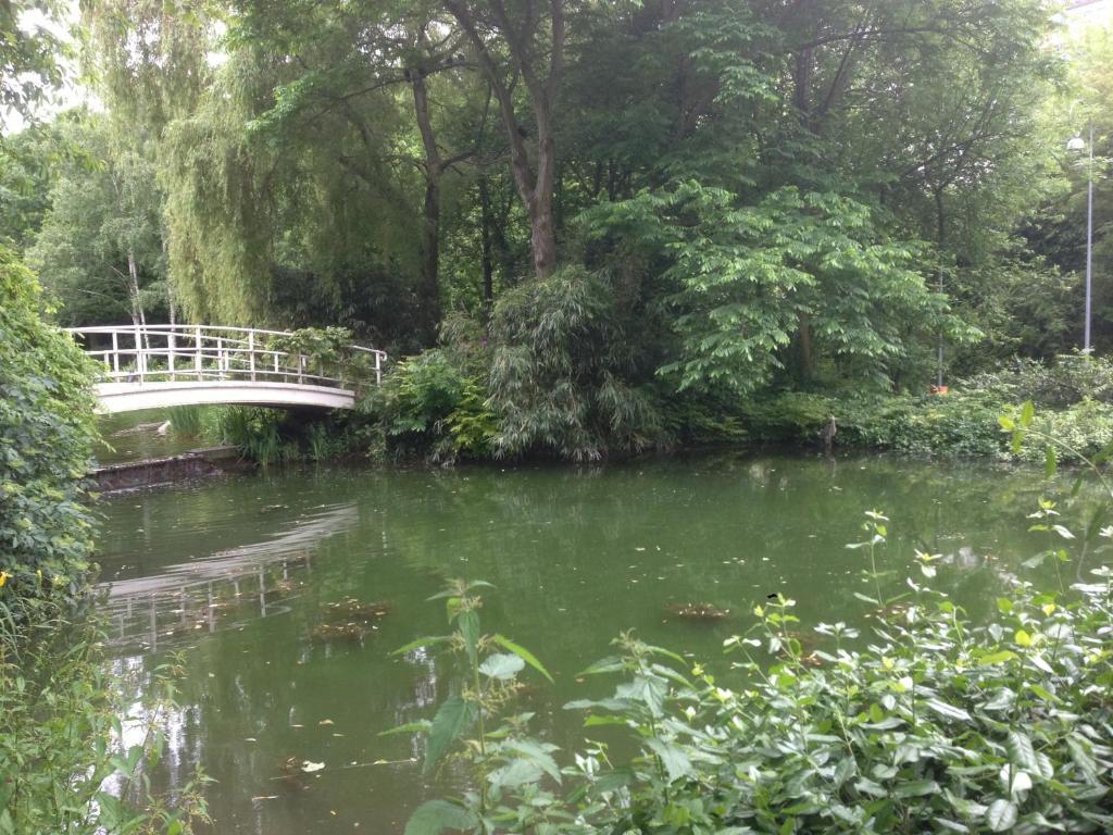 Seerose Baden-Baden